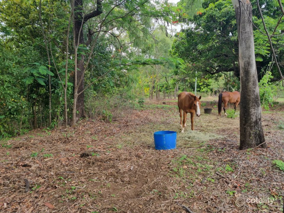 31 Racecourse Rd, Cooktown, QLD 4895