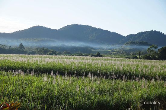 131 Joyce Rd, Woopen Creek, QLD 4871