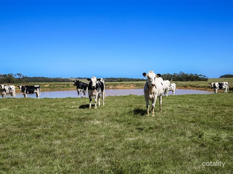 210 Frys Rd, Leongatha South, VIC 3953