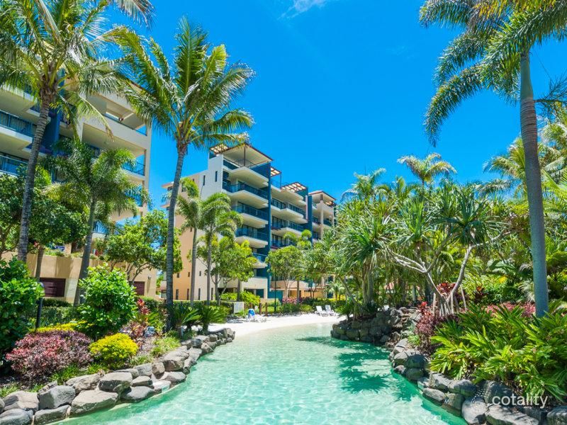 243/19a Wirraway St, Alexandra Headland, QLD 4572