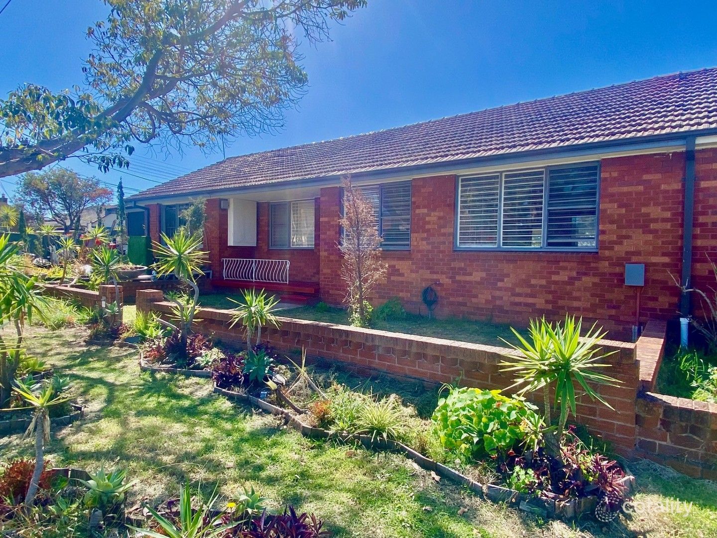 2/726 Punchbowl Rd, Wiley Park, NSW 2195