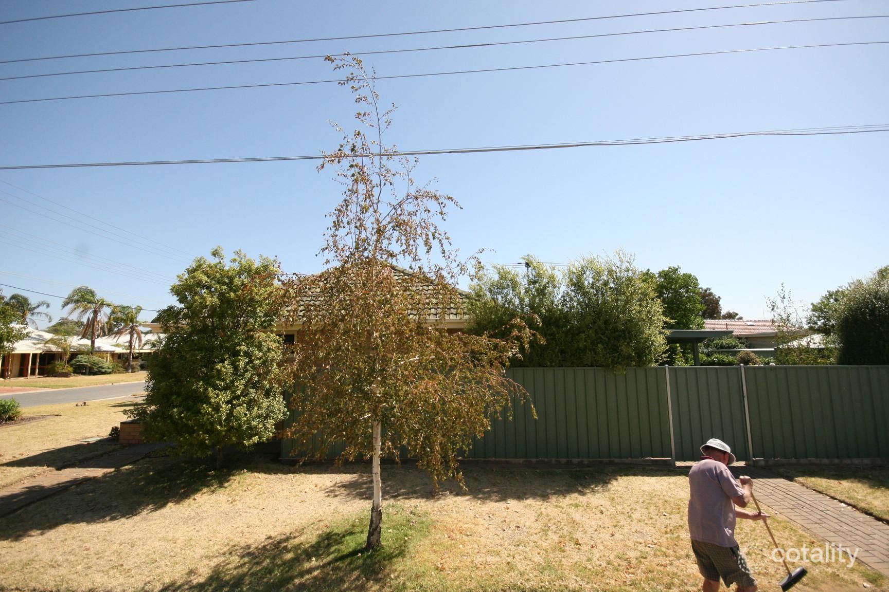 13 Allendale Ave, Novar Gardens, SA 5040