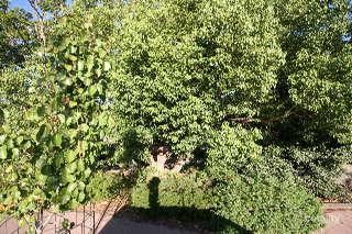 326 Morphett Rd, Warradale, SA 5046