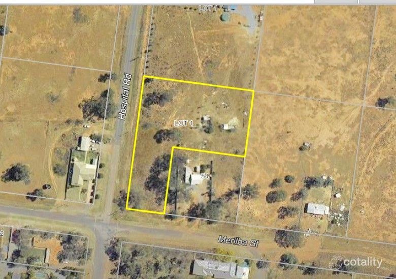 42 Merilba St, Nyngan, NSW 2825