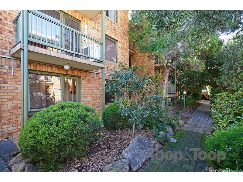 9/22 Cambridge St, North Adelaide, SA 5006