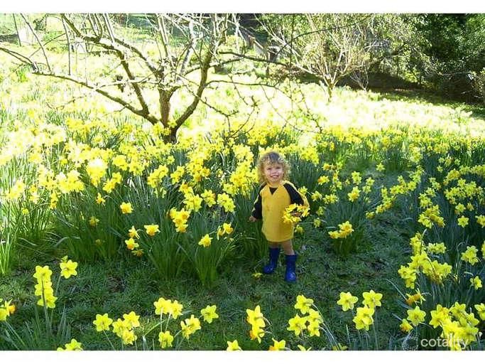 5 William Rd, The Patch, VIC 3792