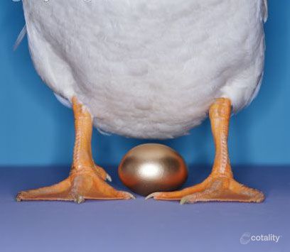 114 Shakespeare Ave, Yokine, WA 6060