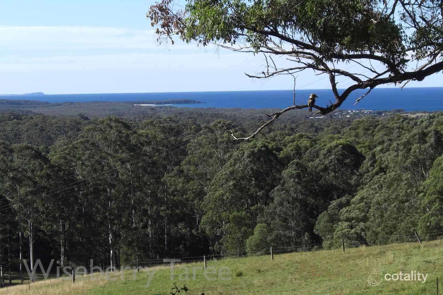 316 Tallwood Dr, Rainbow Flat, NSW 2430