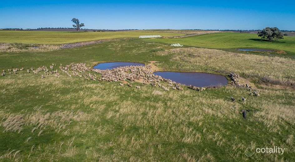 1973 Euchareena Rd, Boomey, NSW 2866