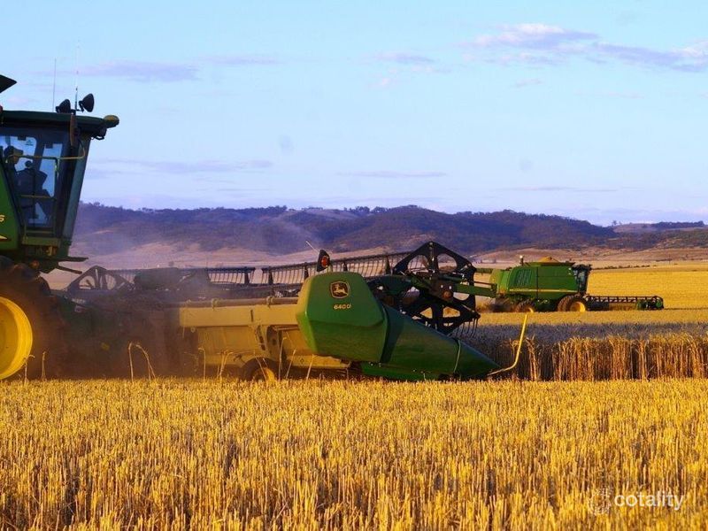 268 Church Rd, Warnertown, SA 5540