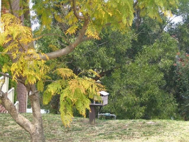 55 Silvertop Pde, Cordeaux Heights, NSW 2526