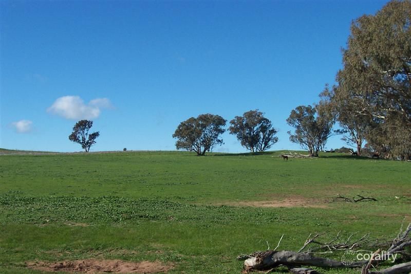 202 Pattersons Lane, Young, NSW 2594