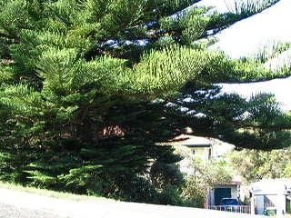 30 Brentor St, Belmont North, NSW 2280