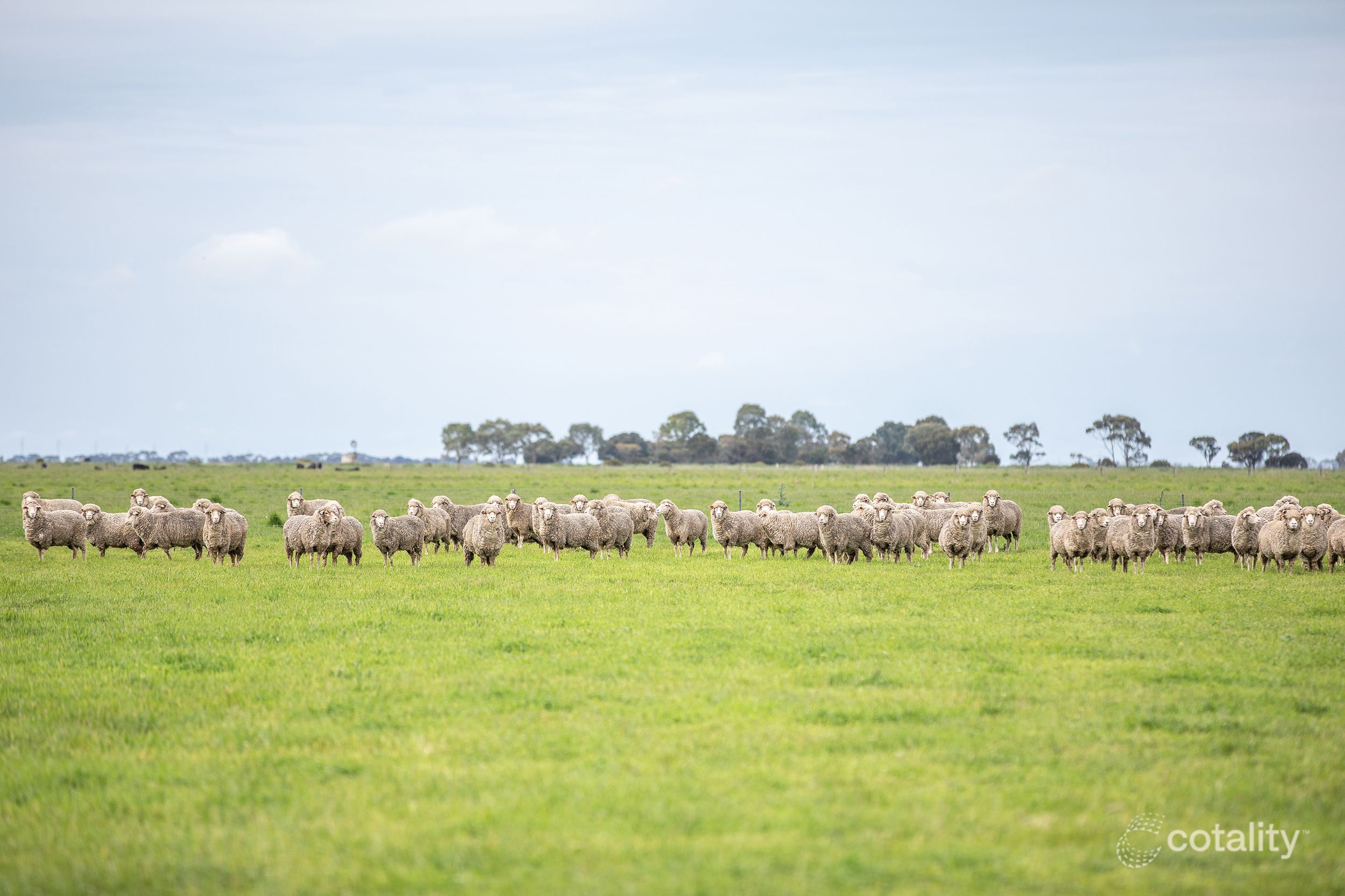 240 Old Avenue Rd, Avenue Range, SA 5273