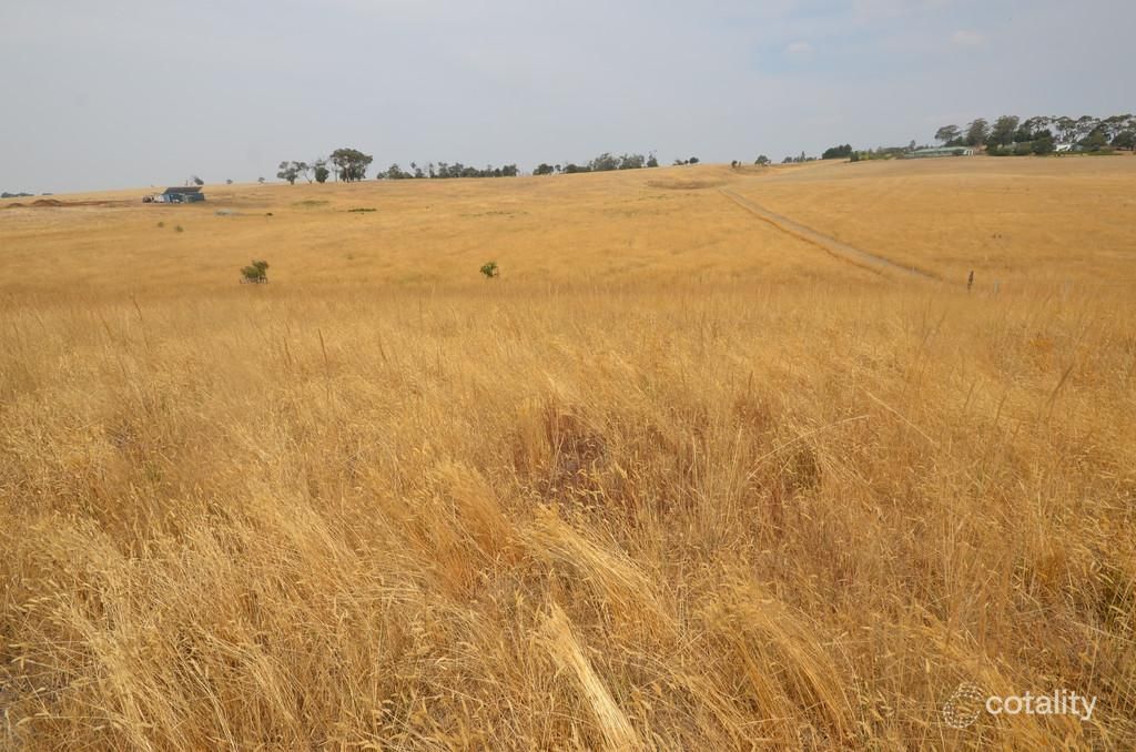 145 North South Rd, Carngham, VIC 3351