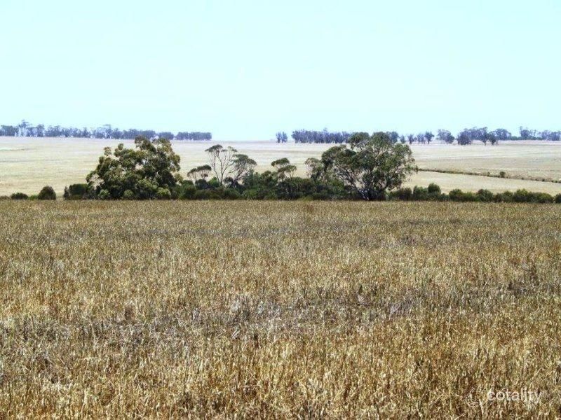 2186 Calingiri-Goomalling Rd, Karranadgin, WA 6460