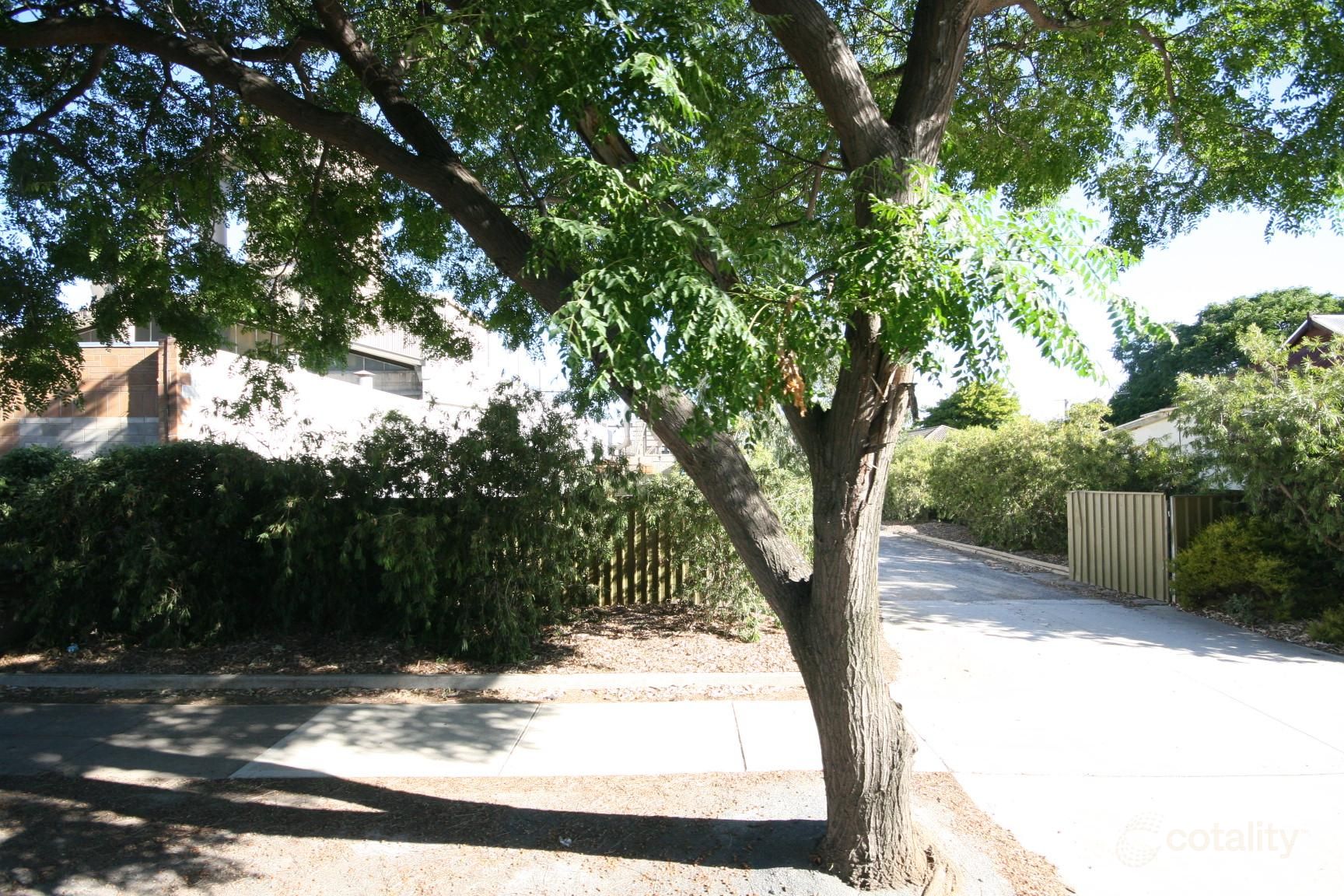 21-23 Everard Ave, Ashford, SA 5035