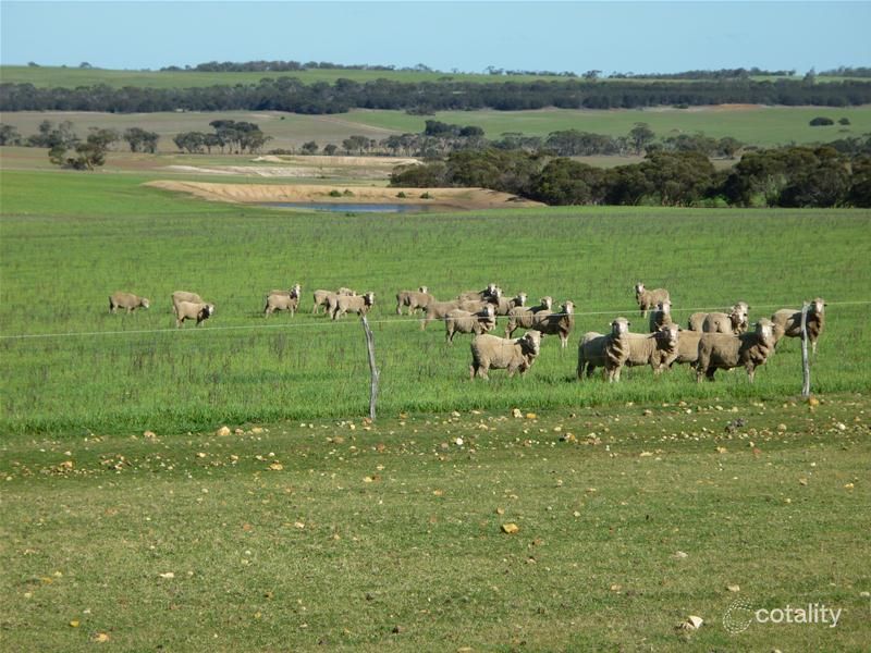 4703 Borden-Bremer Bay Rd, Boxwood Hill, WA 6338