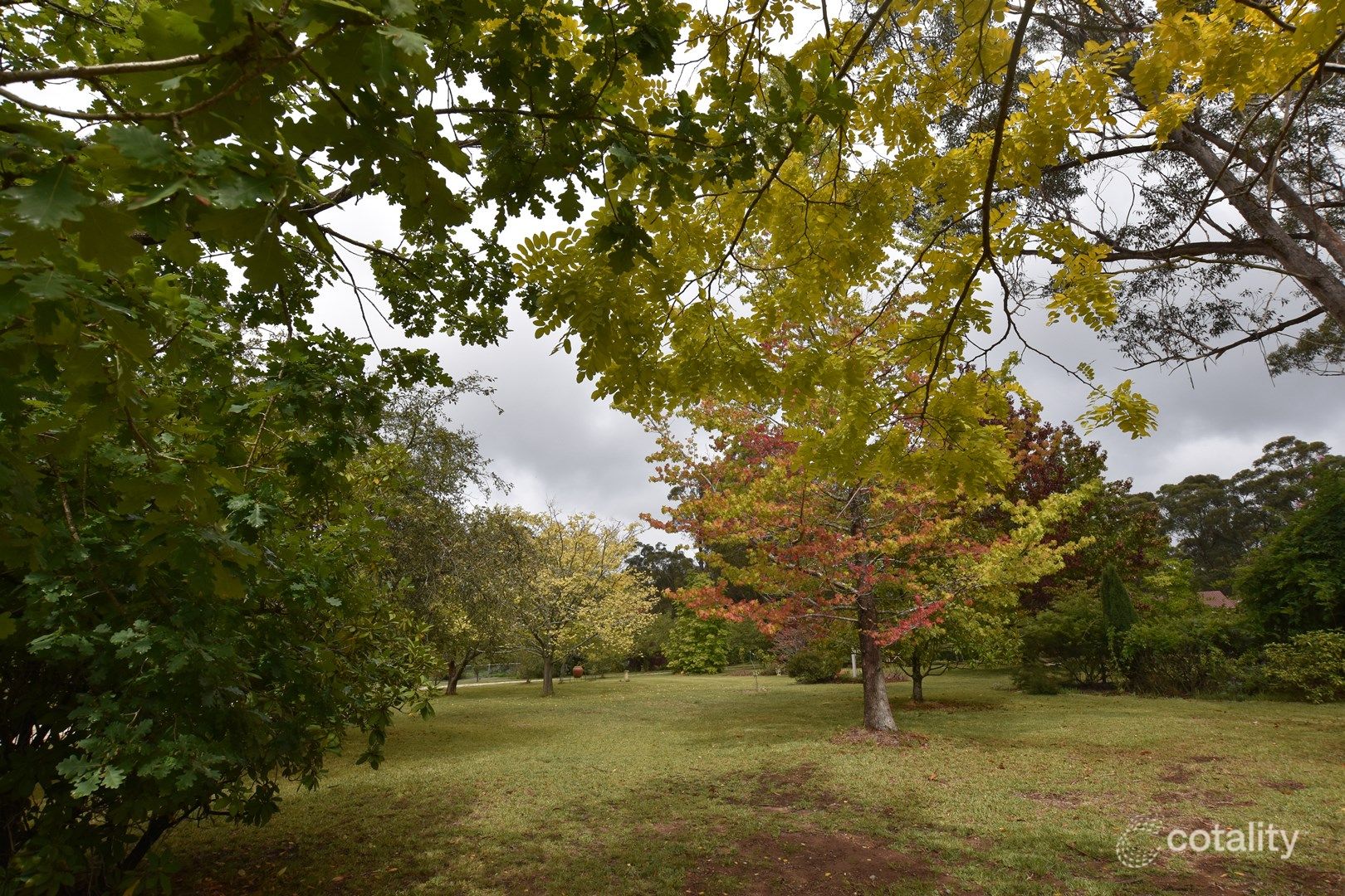 6 Drapers Rd, Willow Vale, NSW 2575