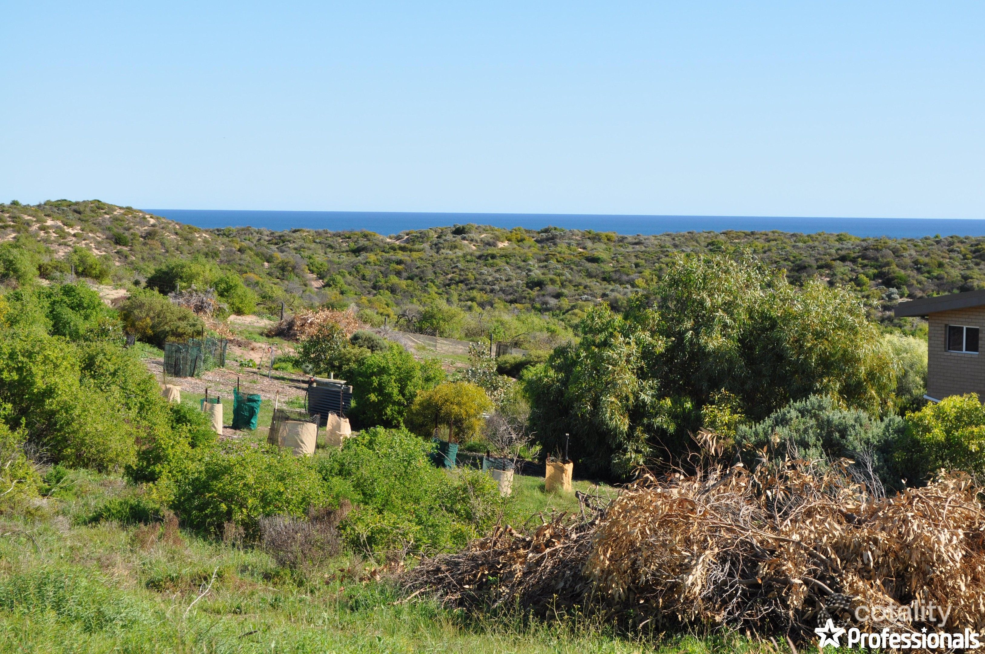 37 African Reef Bvd, Greenough, WA 6532