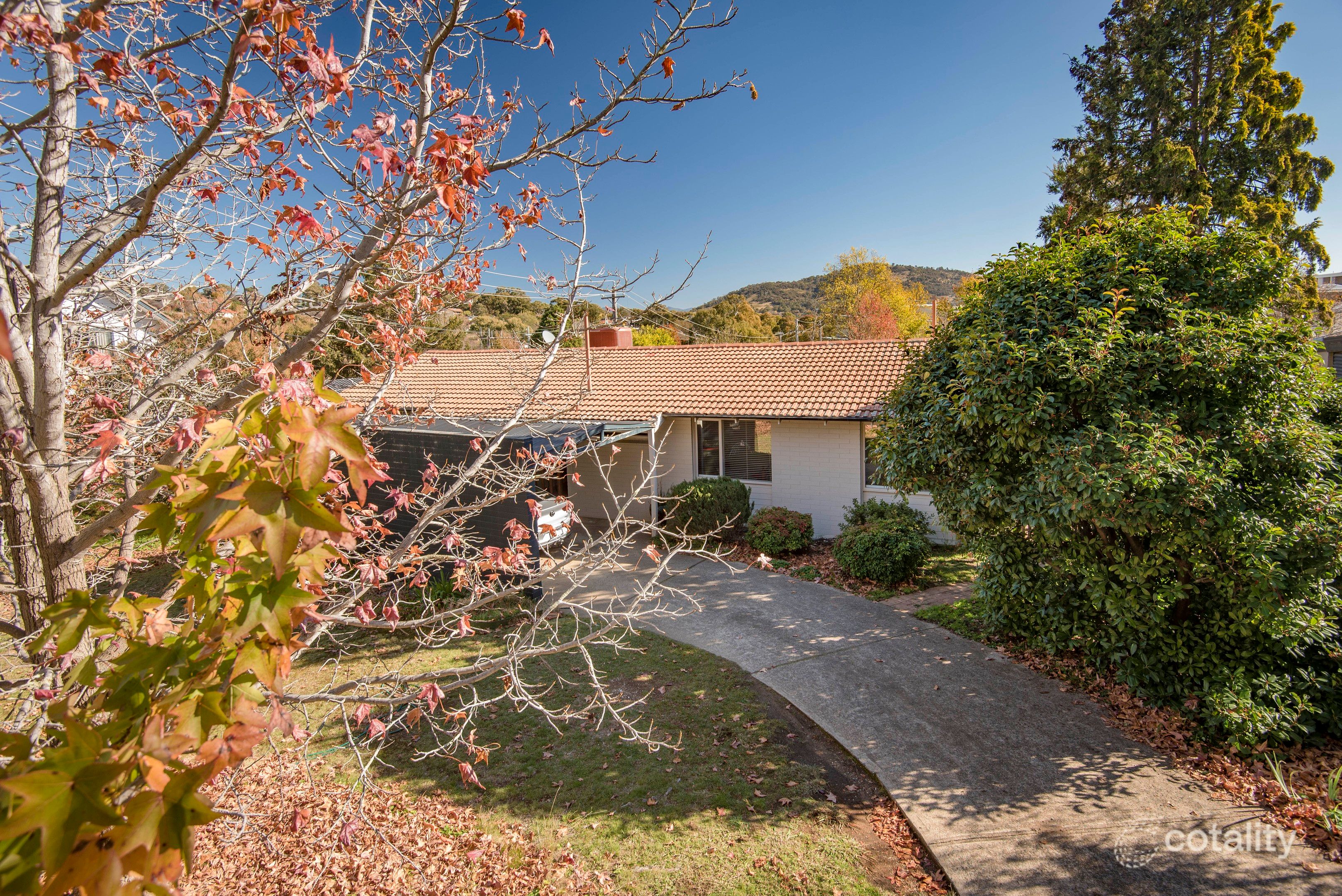 16 Gatton St, Farrer, ACT 2607