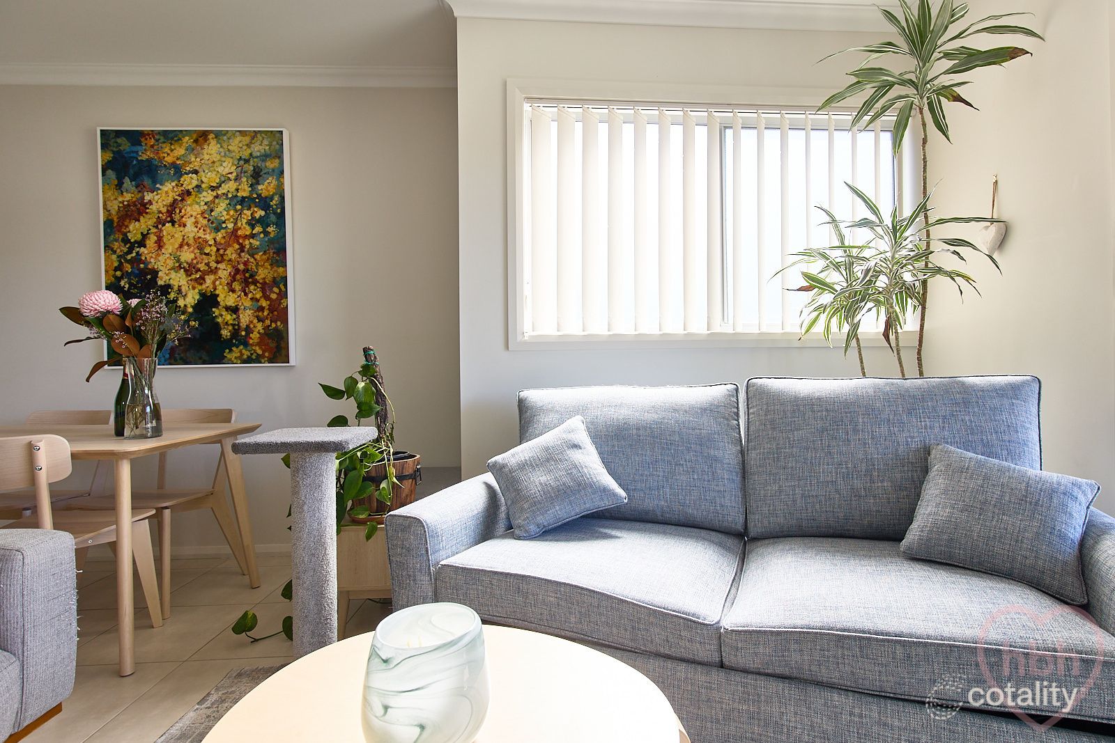 6/54 Macleay St, Turner, ACT 2612