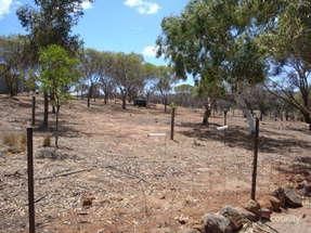 2942 North West Coastal Hwy, Howatharra, WA 6532