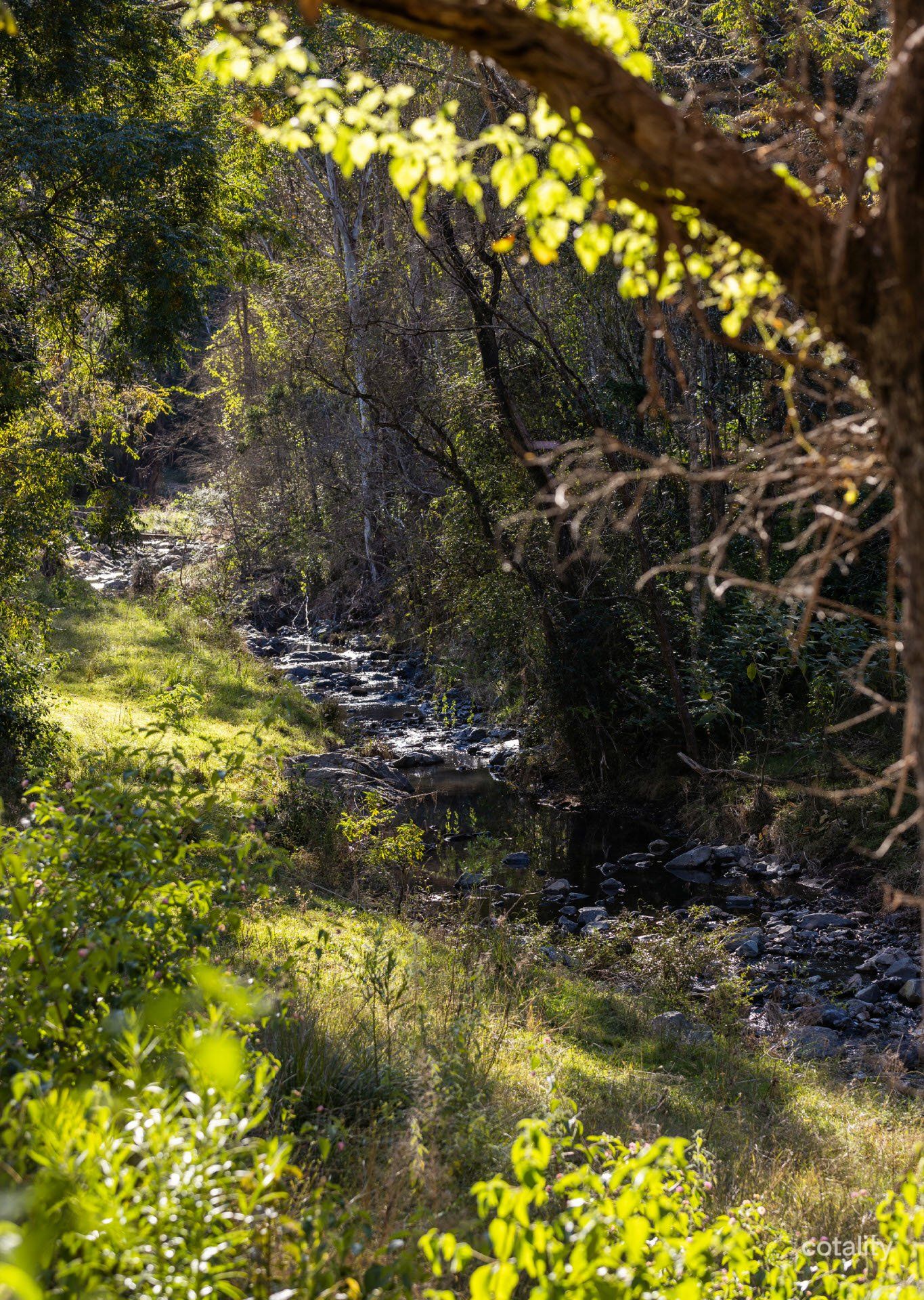 506 Paddock Creek Rd, Caffreys Flat, NSW 2424