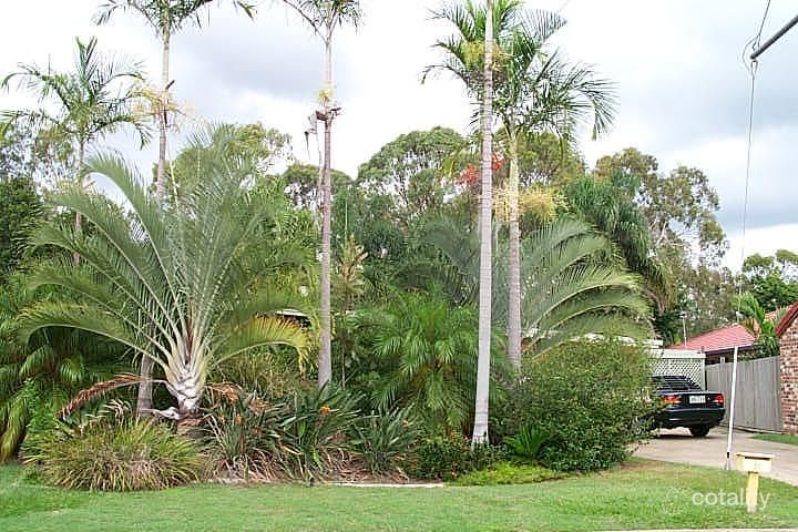 21 Grevillea Cres, Kin Kora, QLD 4680