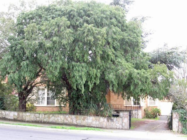 1061 Toorak Rd, Camberwell, VIC 3124