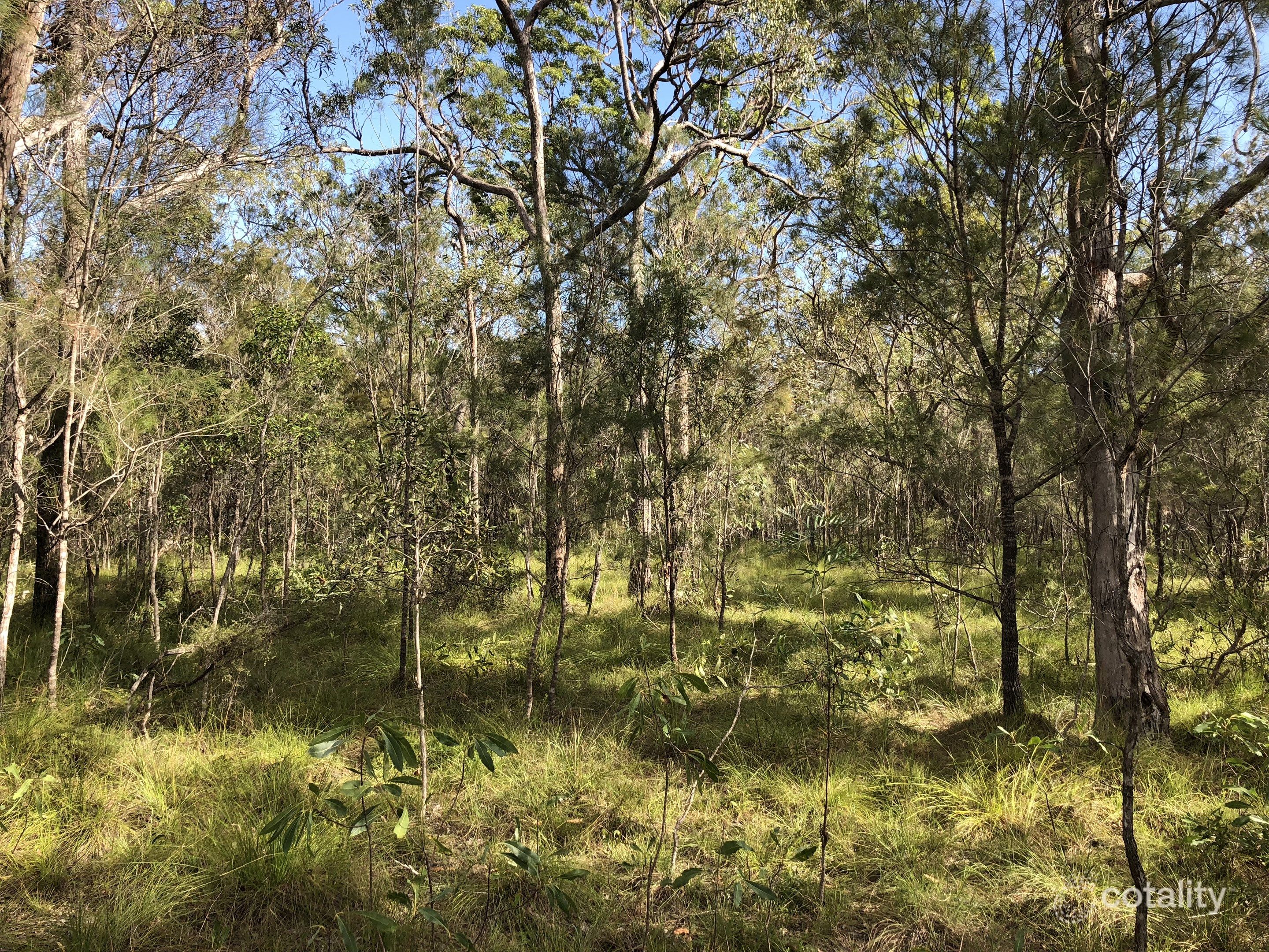 4 Pacific Haven Cct, Pacific Haven, QLD 4659