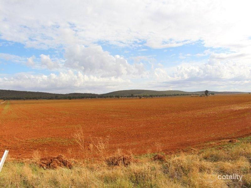 1646 Rankins Springs Rd, Myall Park, NSW 2681