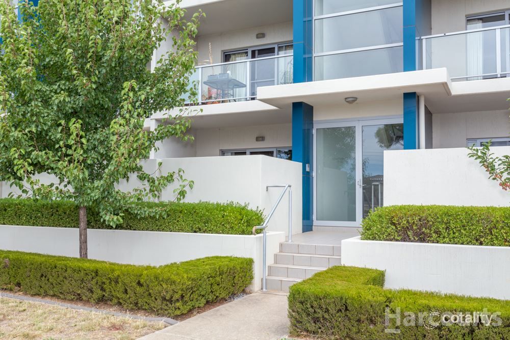 77/311 Flemington Rd, Franklin, ACT 2913
