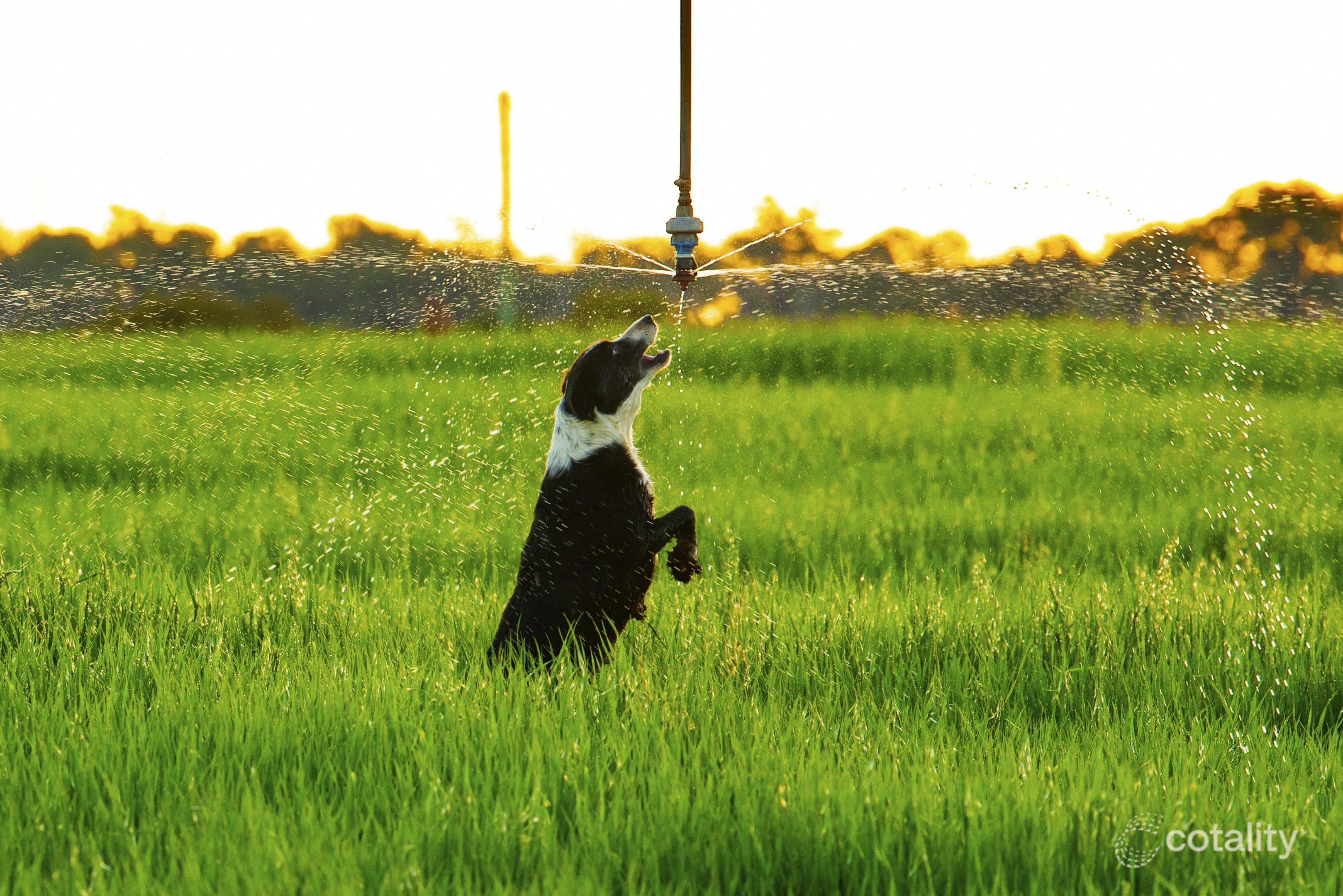 22 Clarke Rd, Spring Creek, QLD 4361