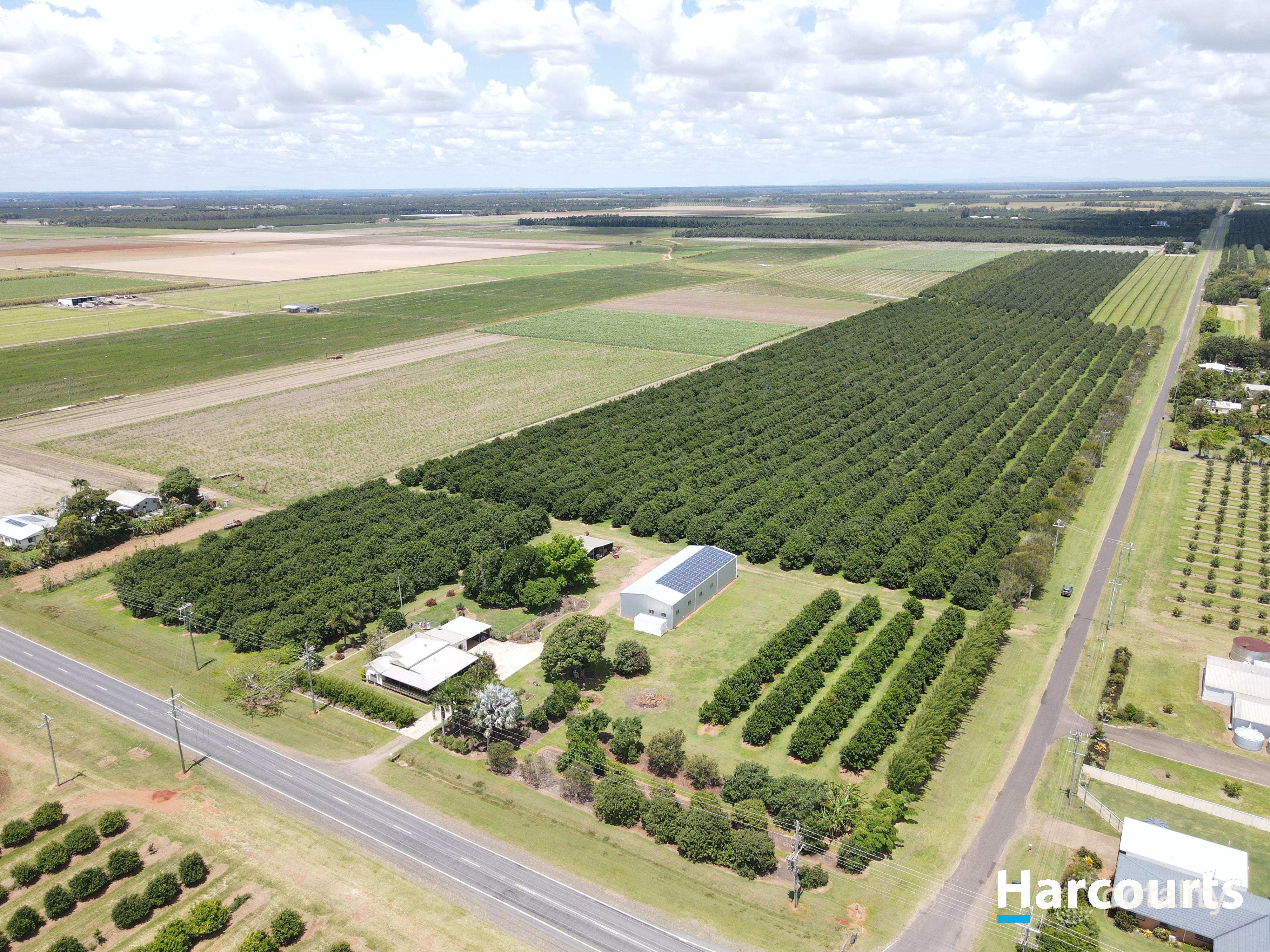 826 Moore Park Rd, Welcome Creek, QLD 4670