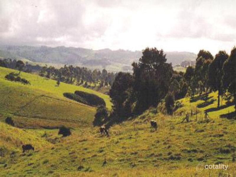 6 Cypress St, Dorrigo, NSW 2453