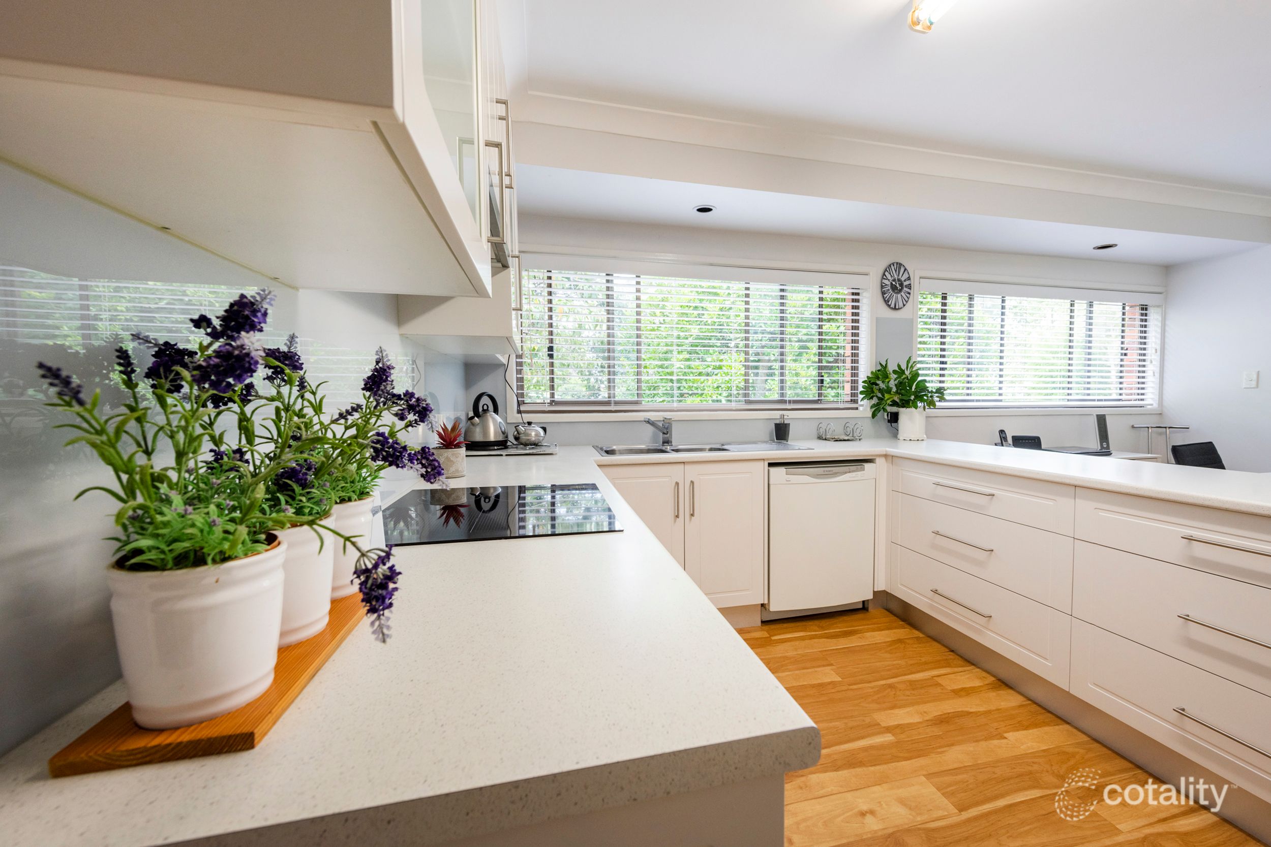 8 Greenfields Dr, Junction Hill, NSW 2460