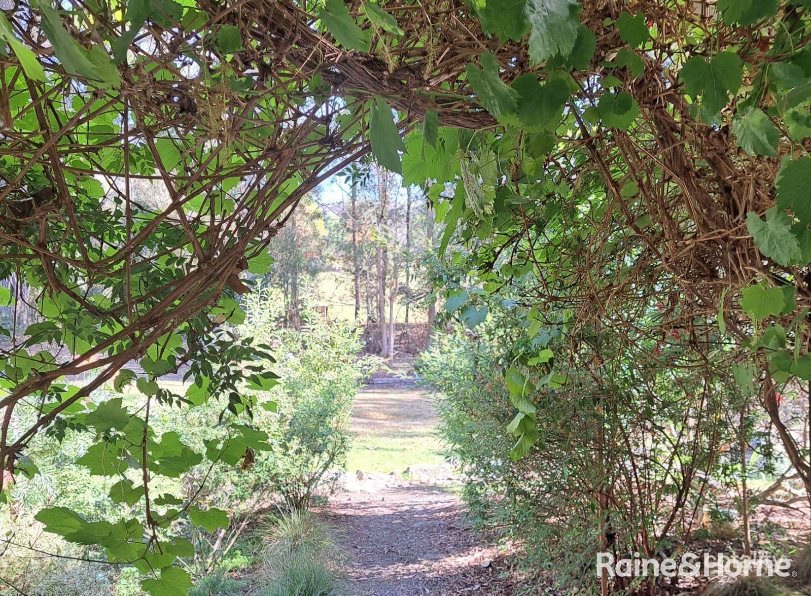 1269 Illaroo Rd, Tapitallee, NSW 2540