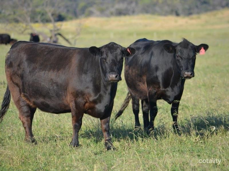 Lot 10 Bog Lane, Nora Creina, SA 5276