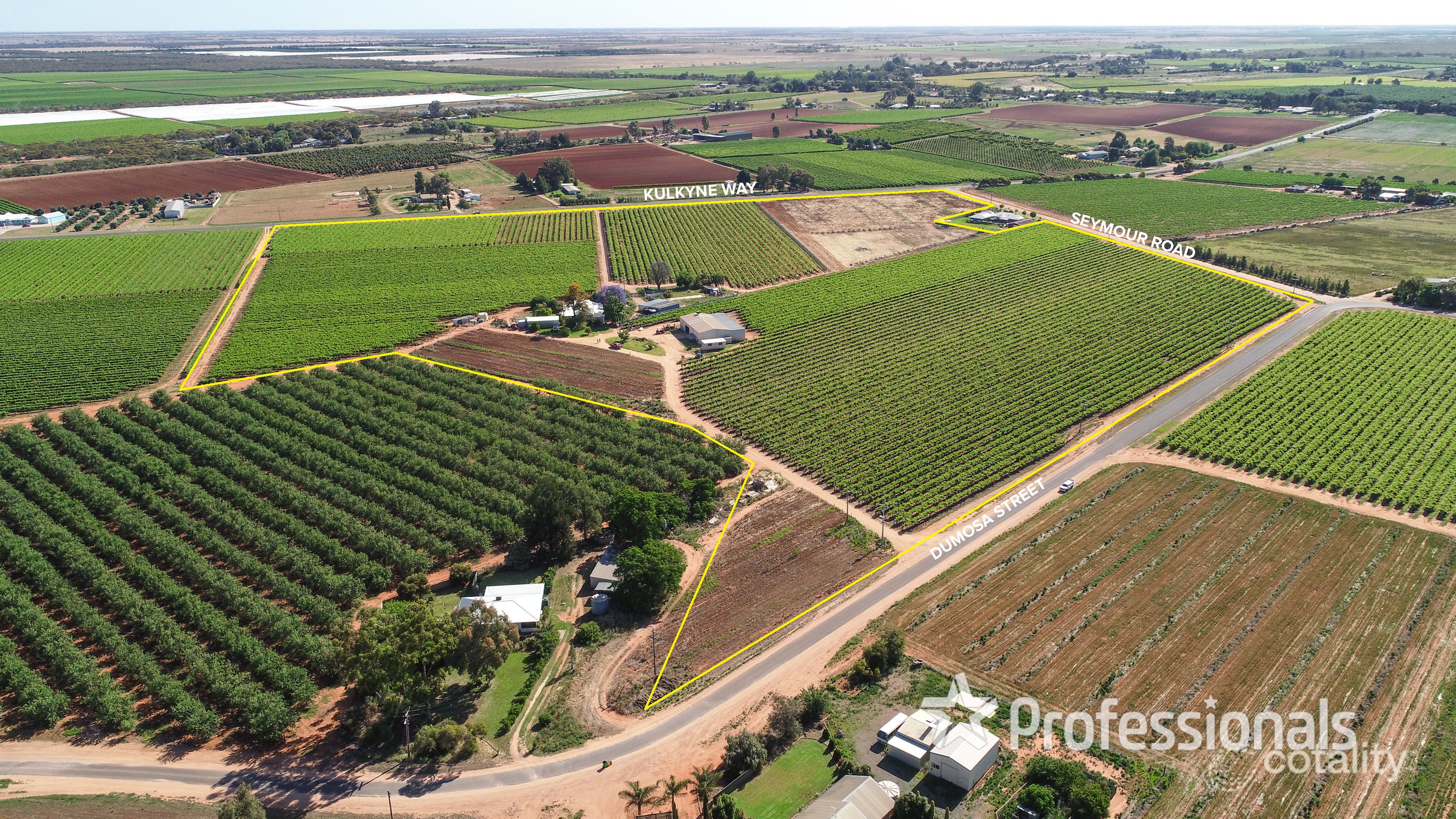 160 Dumosa St, Red Cliffs, VIC 3496