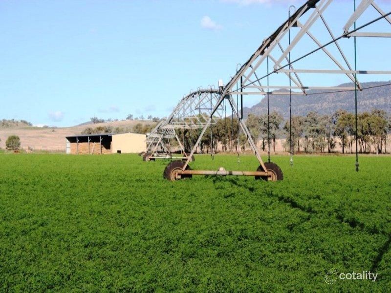 463 Dalswinton Rd, Dalswinton, NSW 2328