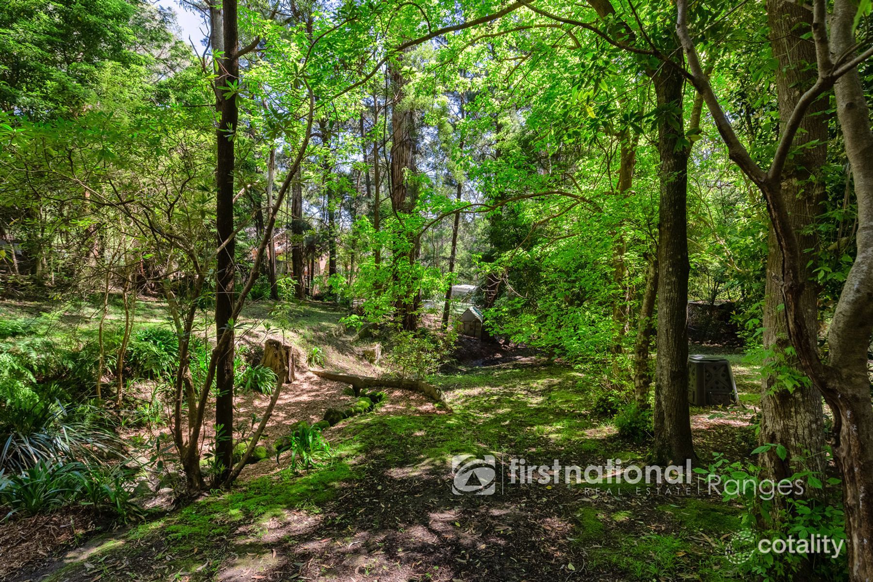 25 James St, Selby, VIC 3159