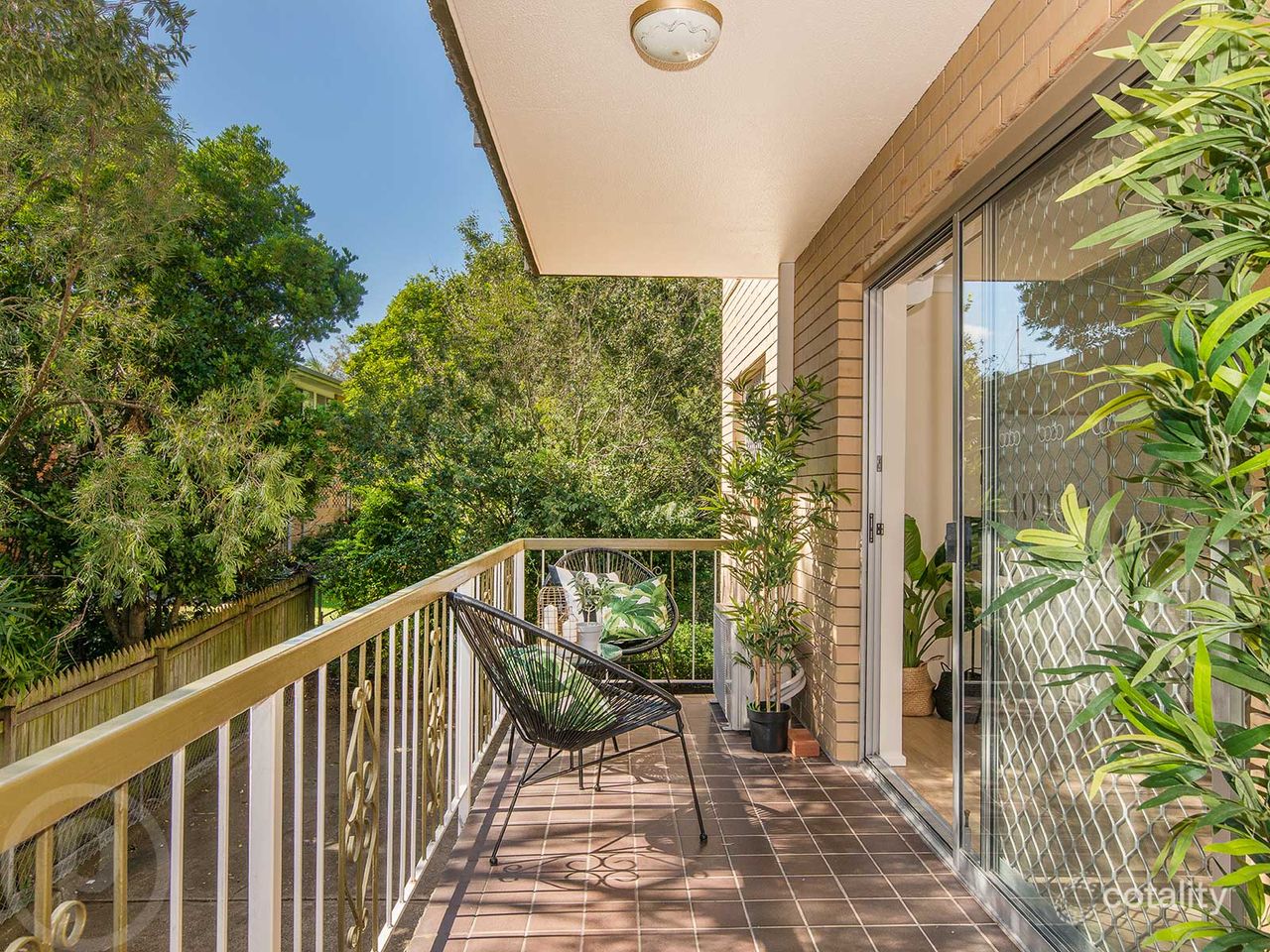 3/117 Pembroke Rd, Coorparoo, QLD 4151