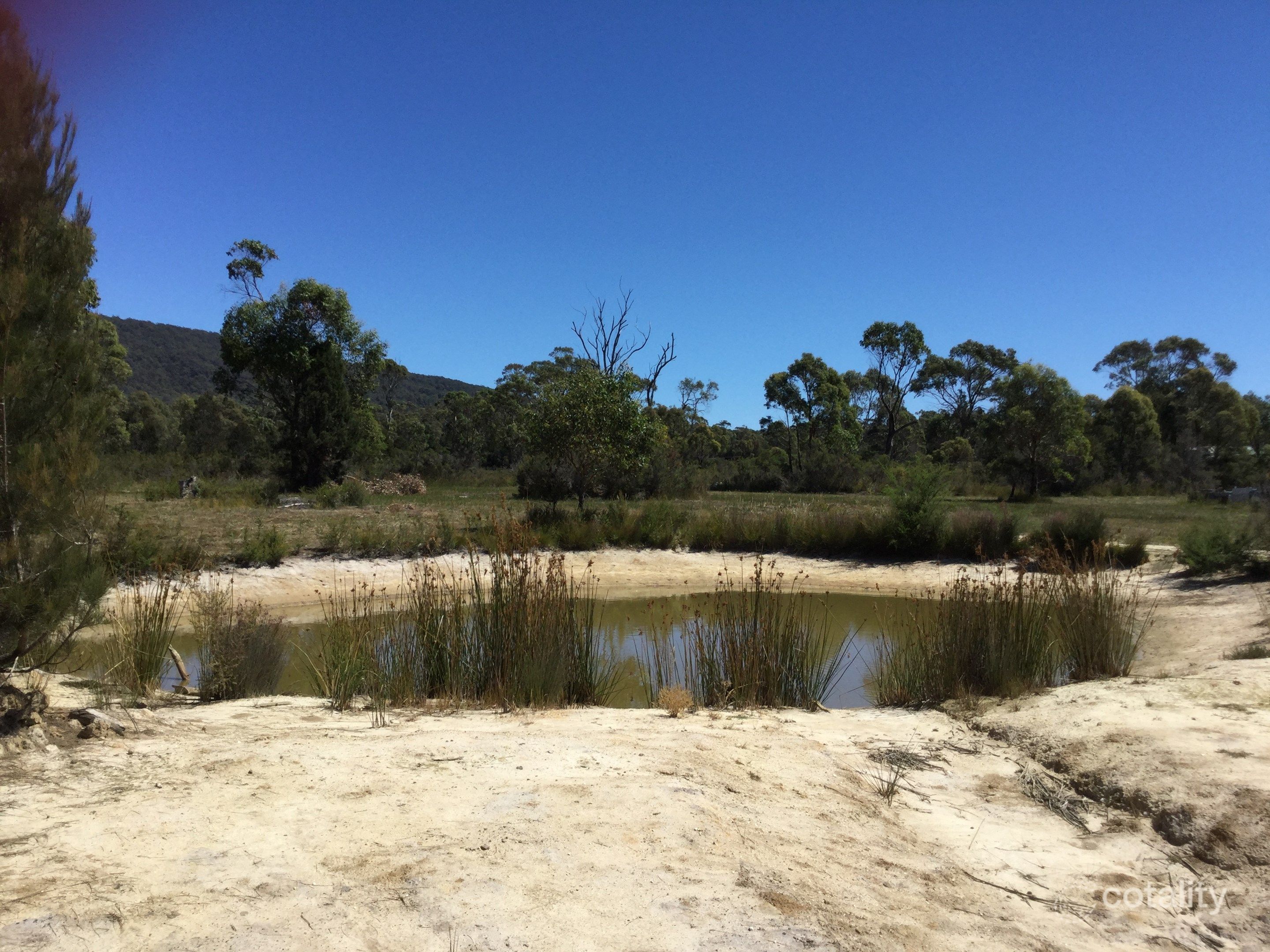 383 Badger Head Rd, Badger Head, TAS 7270