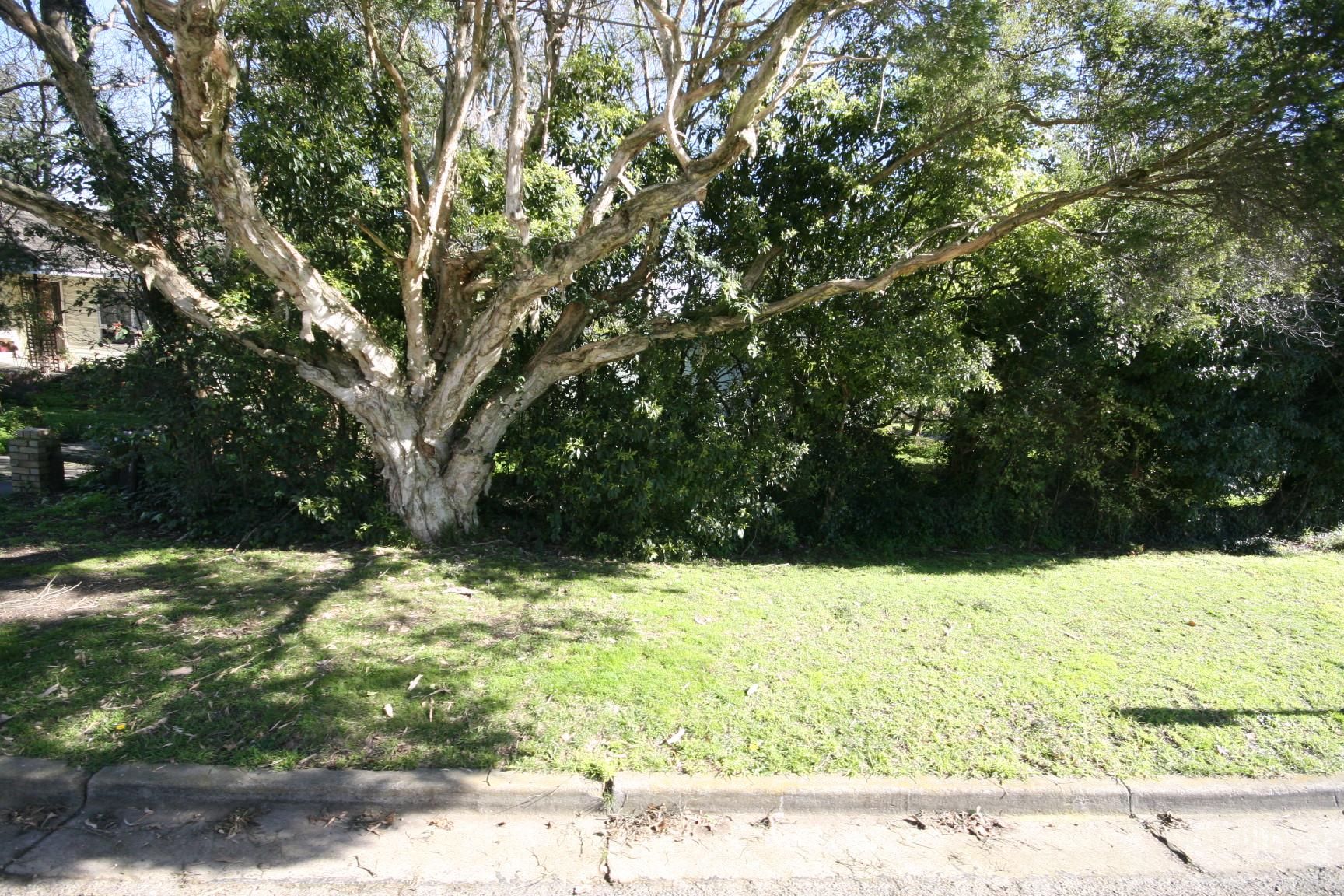 5 Velma Gr, Ringwood East, VIC 3135