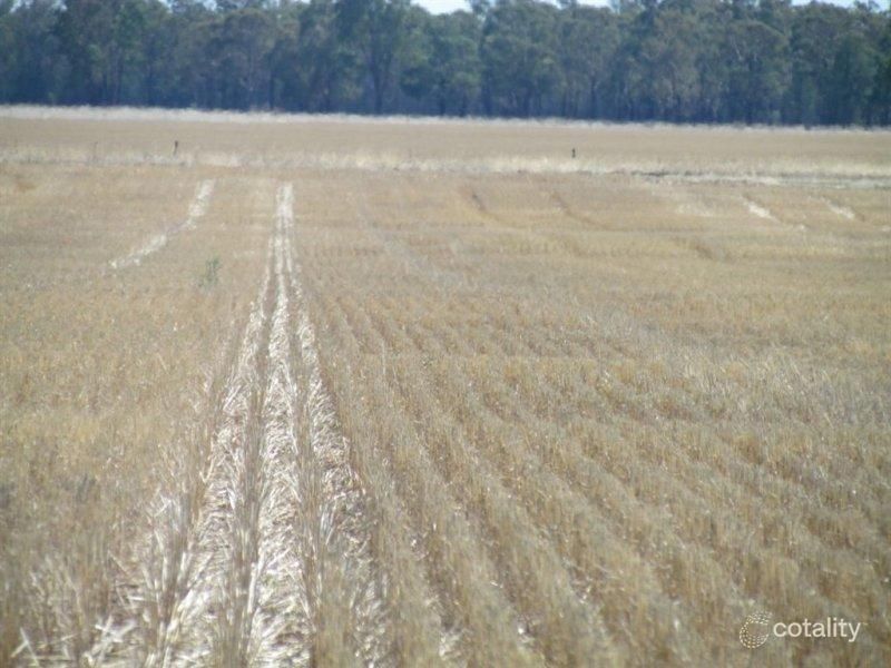 Pinnacle Rd, Grenfell, NSW 2810