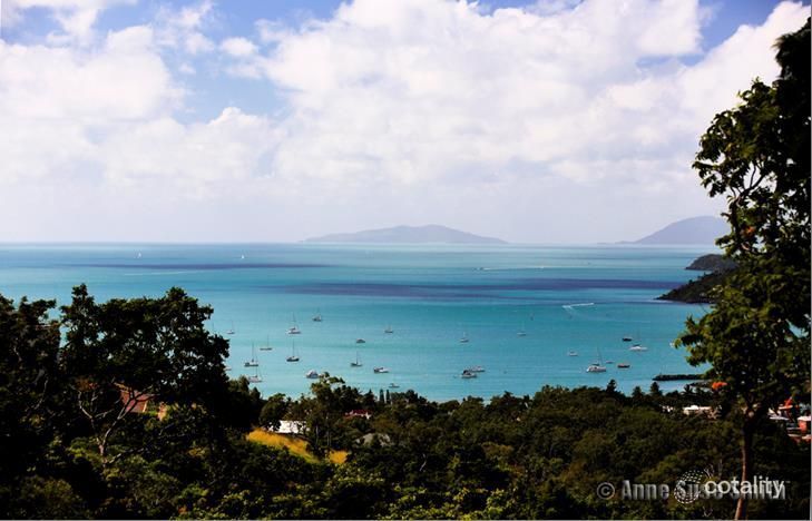 31 Cumberland Ct, Airlie Beach, QLD 4802