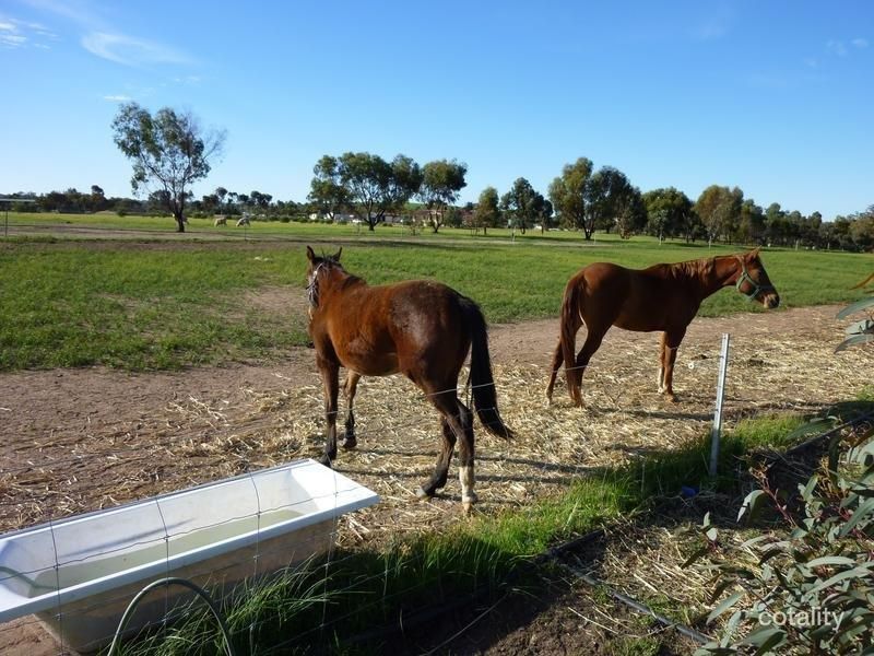 21 Dovey Ct, Gwambygine, WA 6302