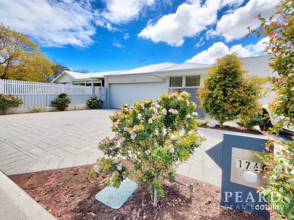176a Cobb St, Doubleview, WA 6018