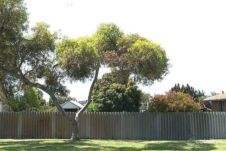 15 Katoomba St, Orana, WA 6330